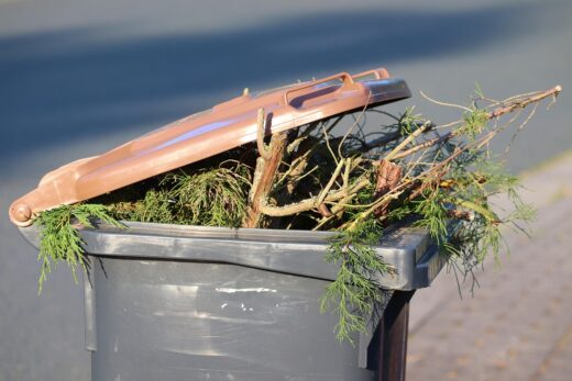 Déchets verts