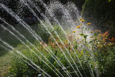 Gestion de l'eau et de l'arrosage