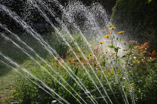 Gestion de l'eau et de l'arrosage