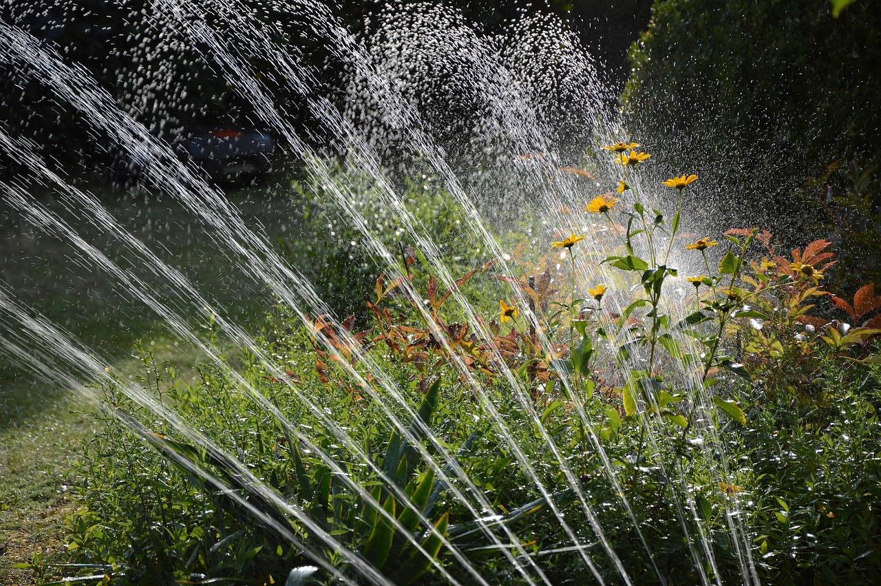 Gestion de l'eau et de l'arrosage