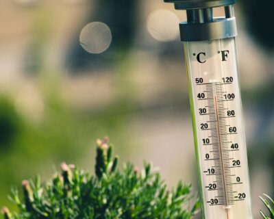 Fortes chaleurs dans le jardin