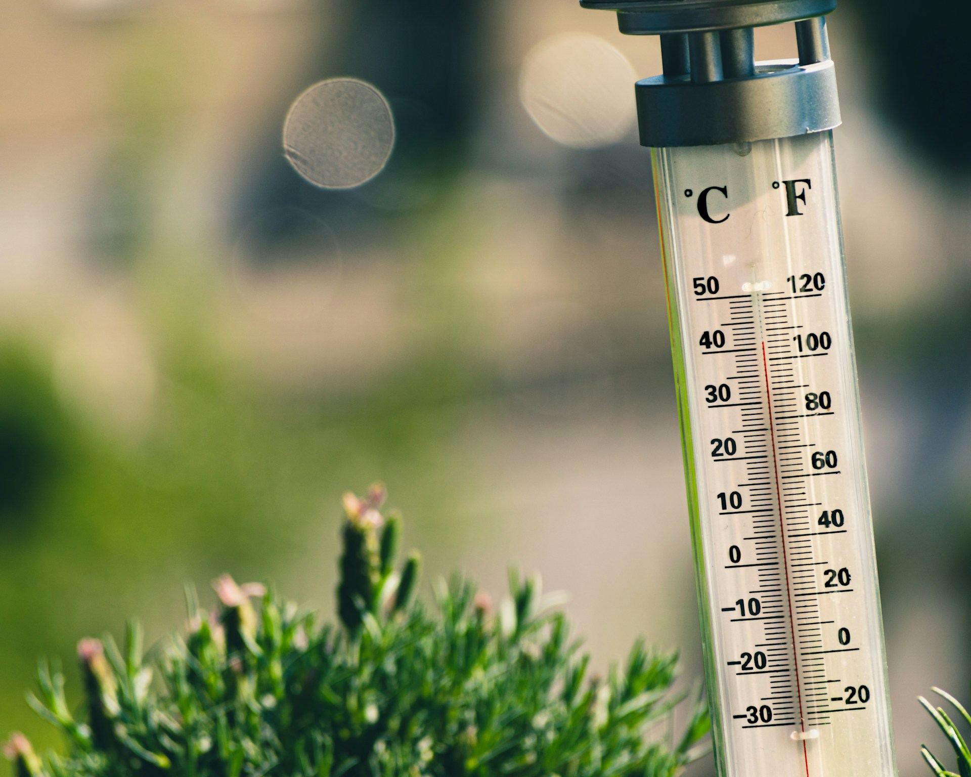 Fortes chaleurs dans le jardin