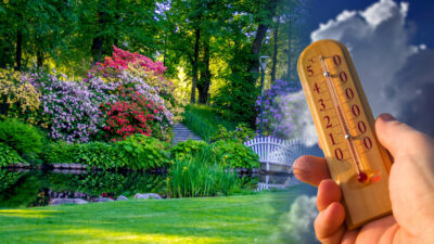 canicule jardin