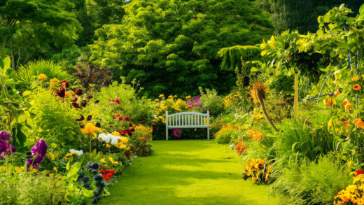 jardin de rêve
