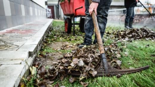 nettoyage potager