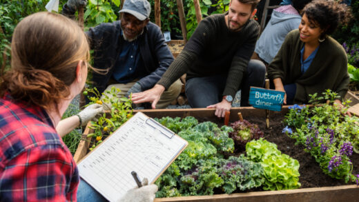 permaculture