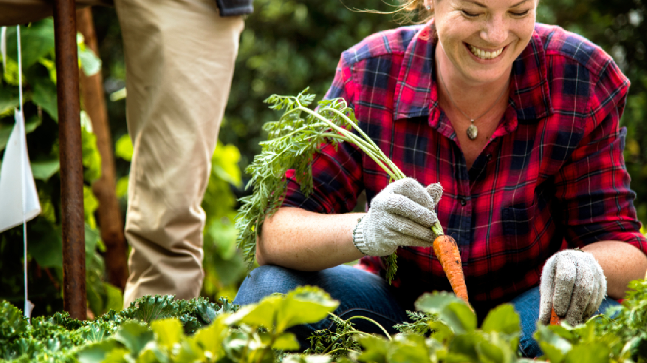compagnonnage potager
