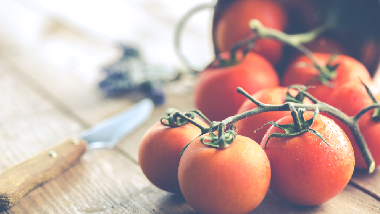 Tomates hiver