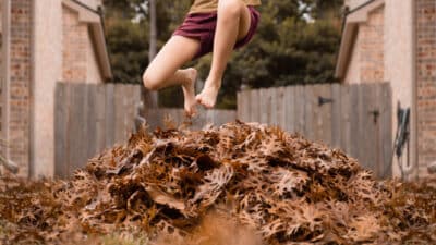 compostage des feuilles mortes