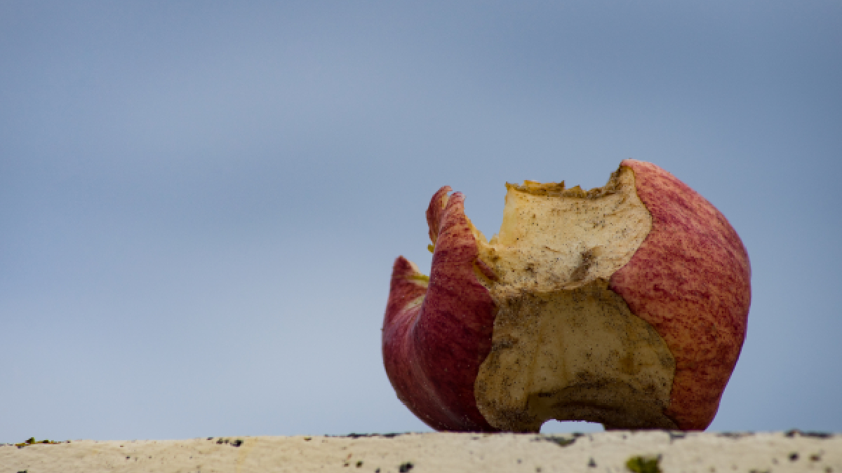 Fruits tombés au sol