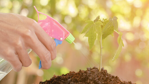 Halte aux engrais polluants
