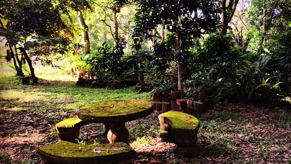 jardin-forêt