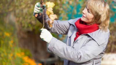 Ce geste écolo et économique protège votre jardin tout l’hiver !