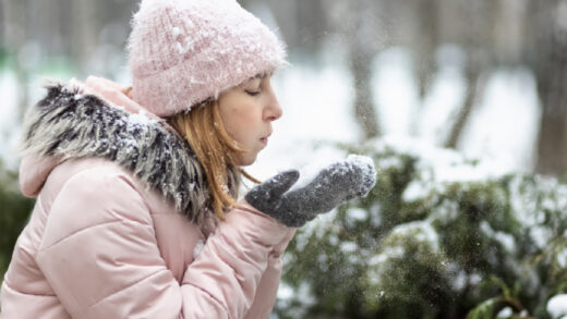 Comment bien protéger son jardin du froid à venir