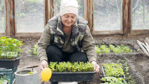 Créer un potager 4 saisons