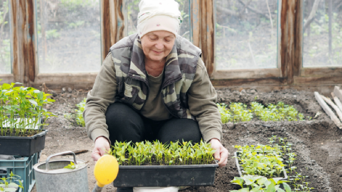Créer un potager 4 saisons