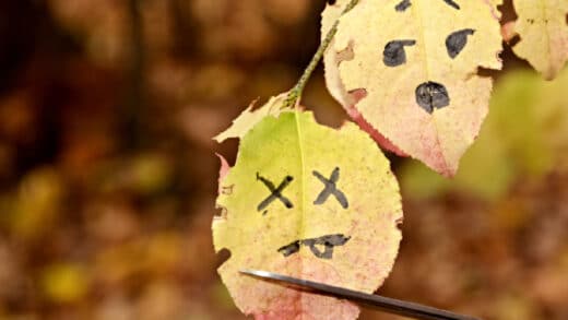 erreurs à éviter au jardin en novembre