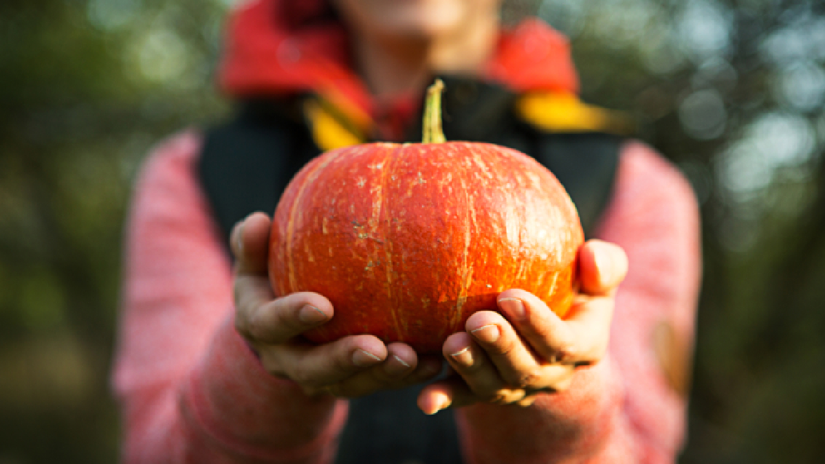 garder vos fruits d’automne