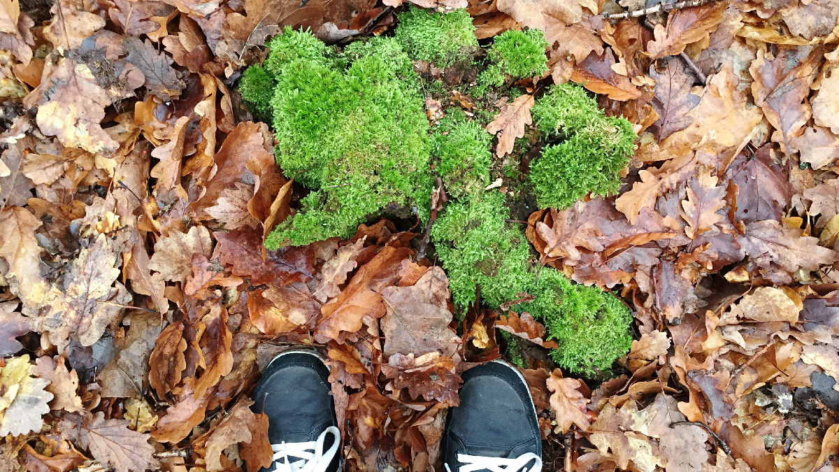 ne pas retourner la terre à l’automne