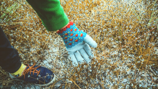 Préparer sa pelouse pour l’hiver
