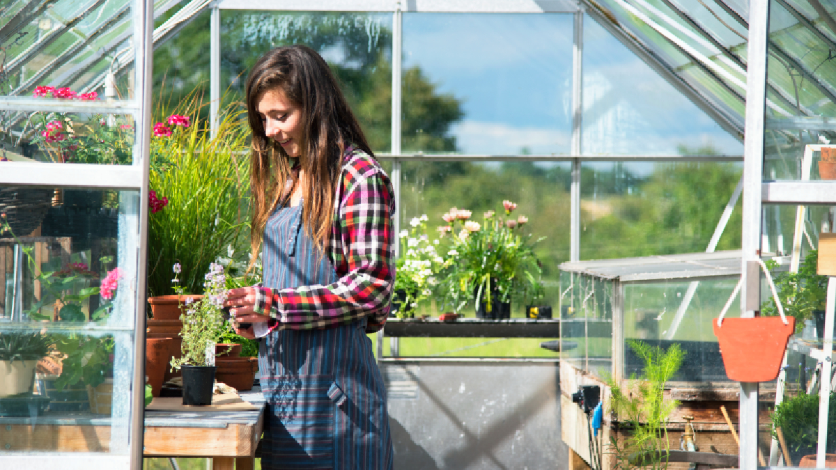Préparer sa serre pour l’hiver