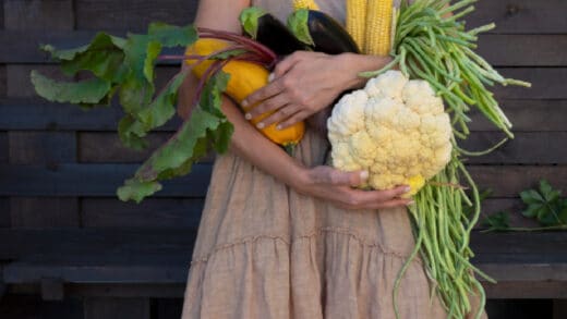 Quels légumes récolter en novembre