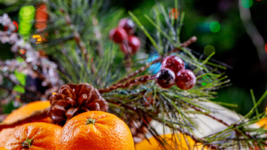 arbre fruitier décembre