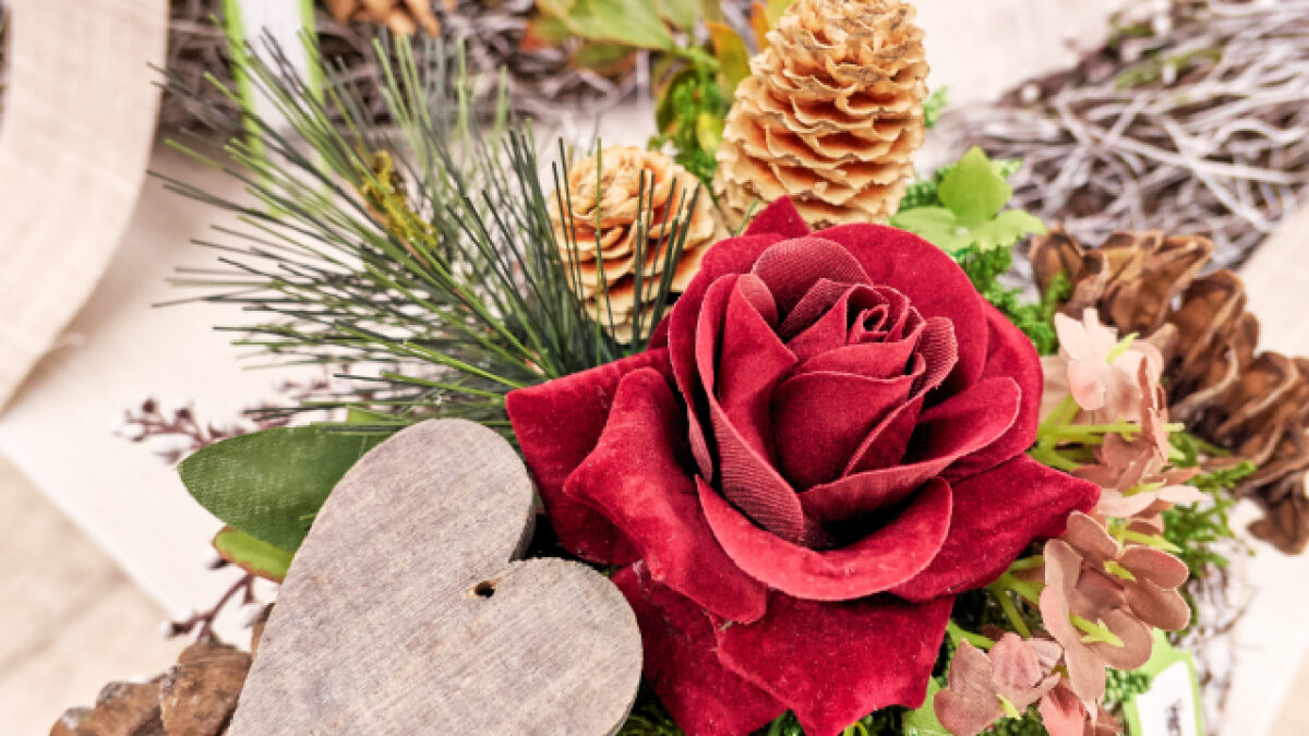 belles fleurs à admirer en décembre