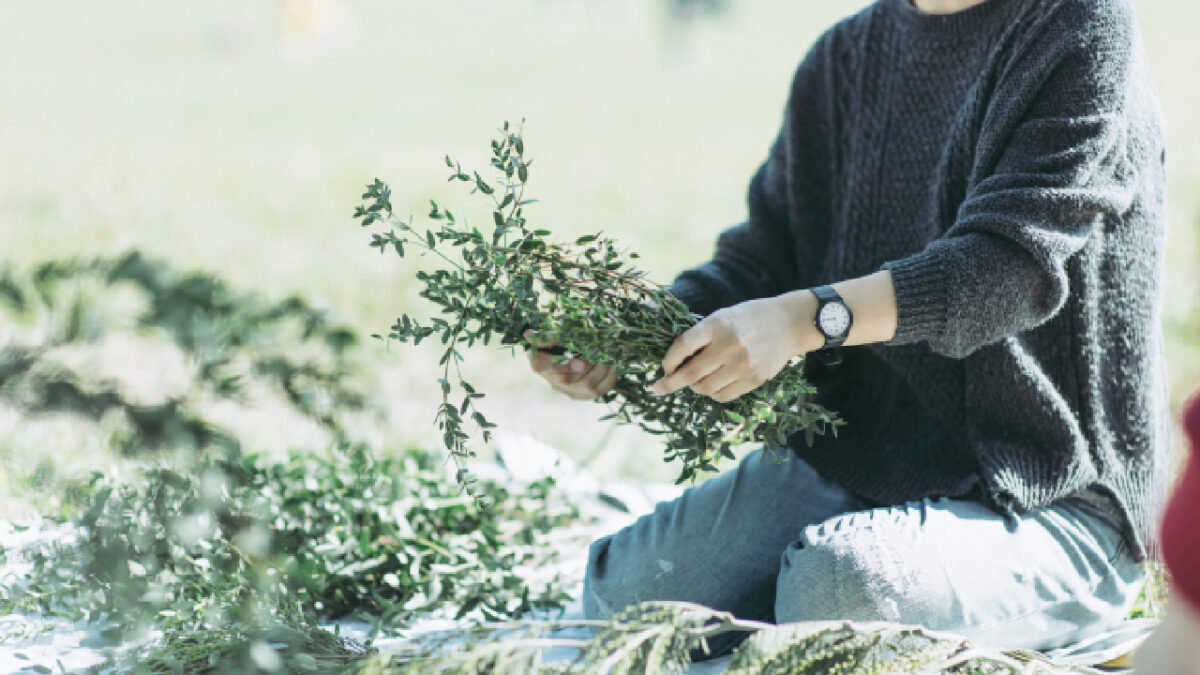 hiver doux potager