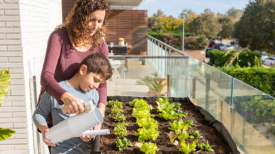 kits de culture sur balcon