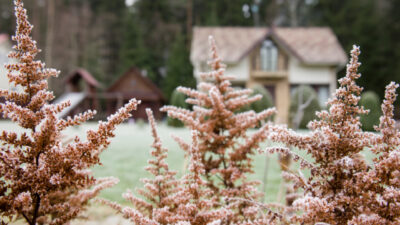 Nourrir votre jardin en plein hiver _ les astuces qui changent tout pour vos récoltes
