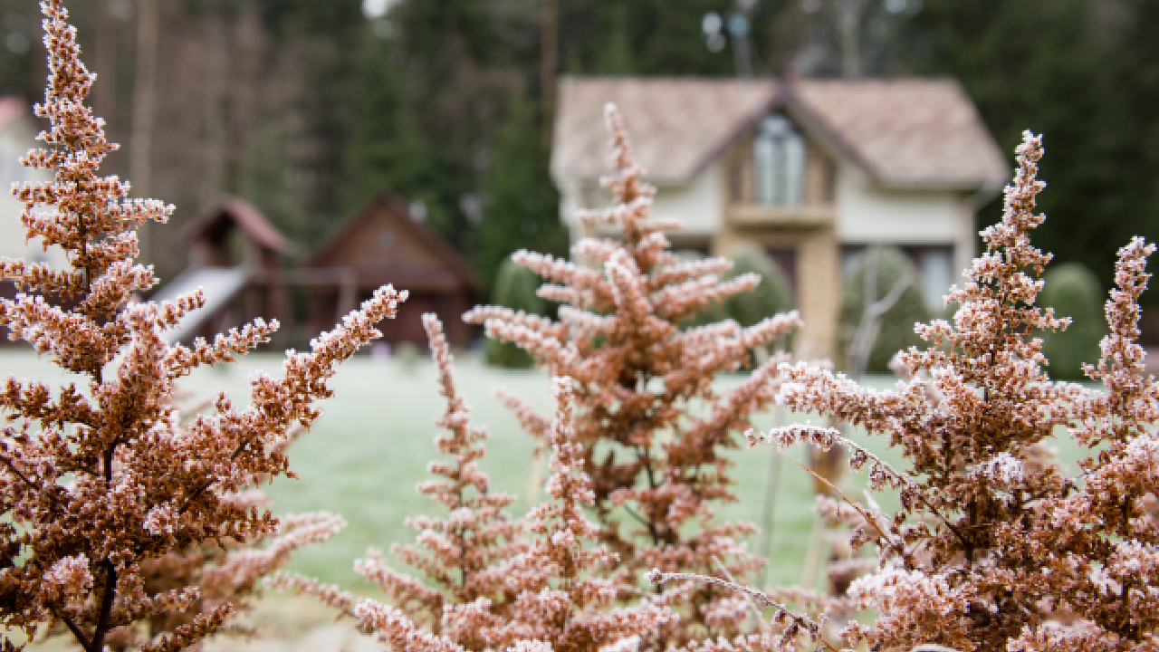 Nourrir votre jardin en plein hiver _ les astuces qui changent tout pour vos récoltes