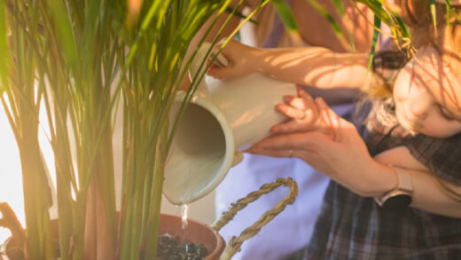 arroser ses plantes en période de chauffage
