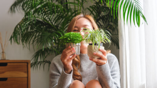 bienfaits des plantes dépolluantes