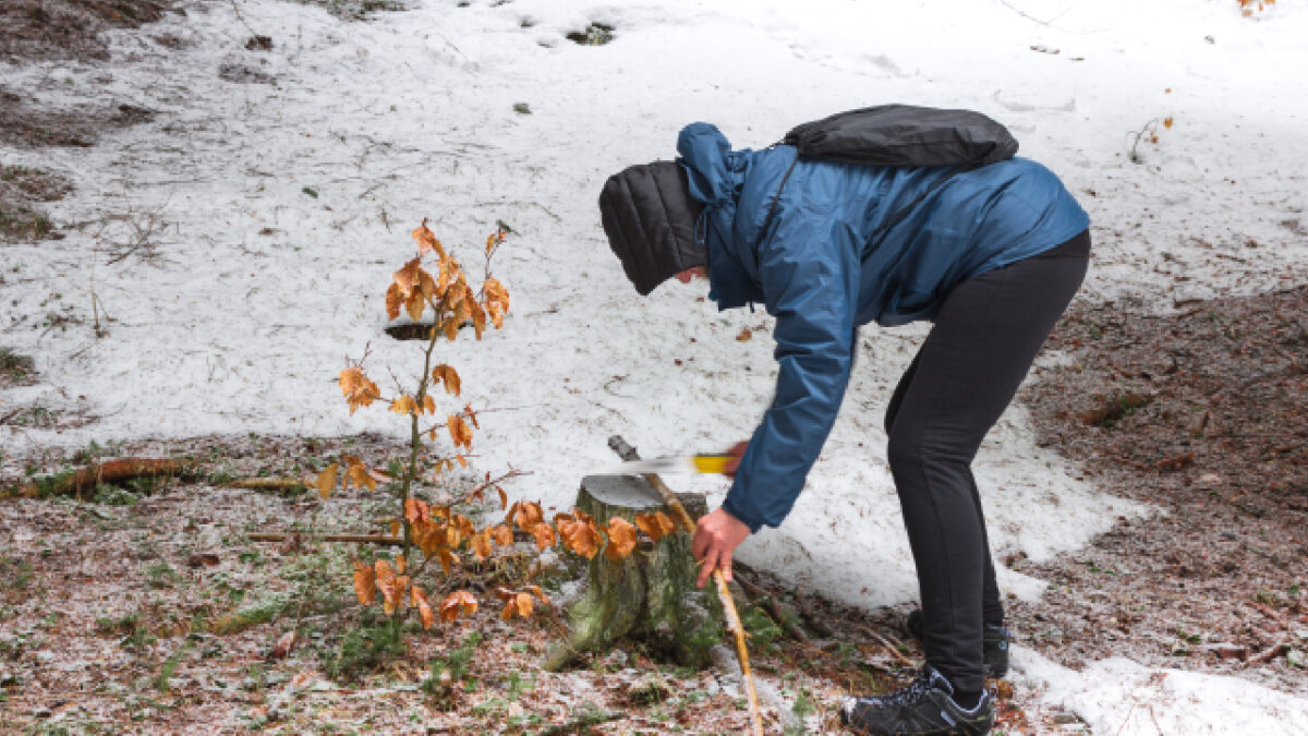 Composter en hiver