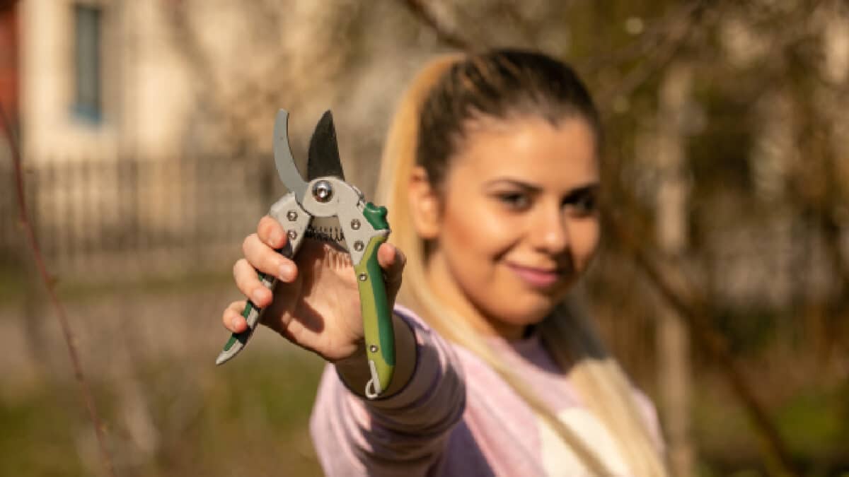 Entretenir les outils de jardinage