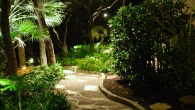 jardin la nuit