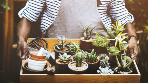 Les tendances jardin 2026 _ que prévoir dès maintenant _ Pour les jardiniers connectés et curieux de nouveautés