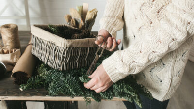 Plantes d’intérieur : rempoter en hiver