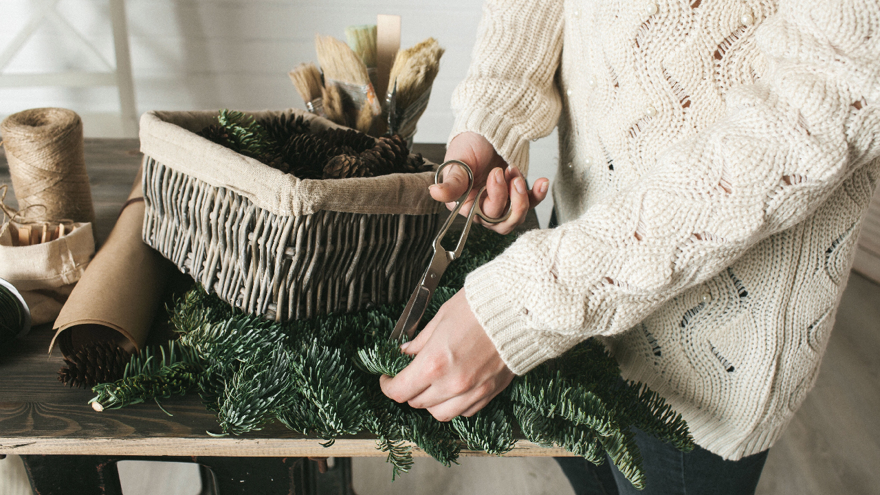 Plantes d’intérieur : rempoter en hiver