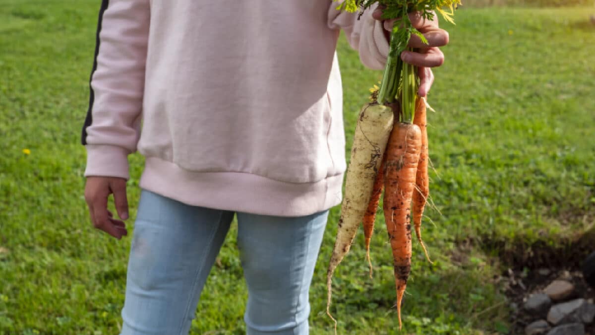 pousser vos légumes dès janvier