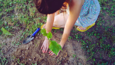 préparer son sol au printemps
