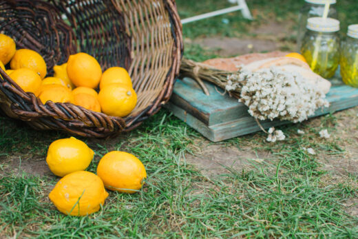 Agrumes rustiques en pleine terre