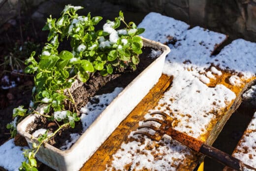 Préparation du jardin en février