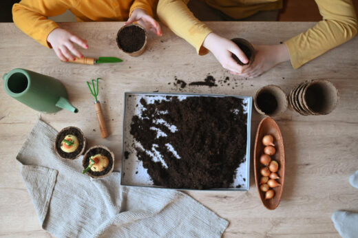 Semis potager en février