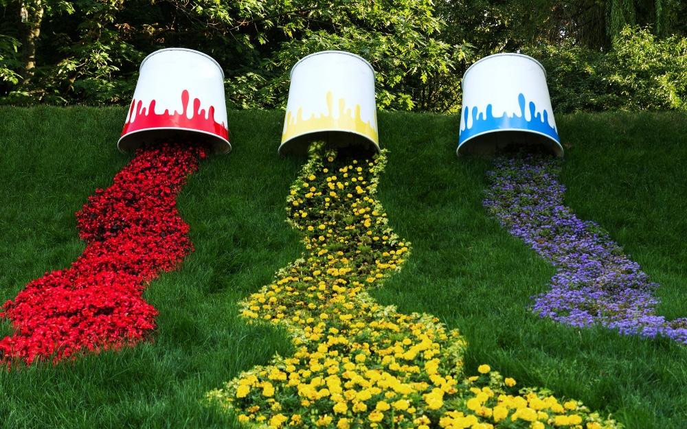 ces fleurs annuelles