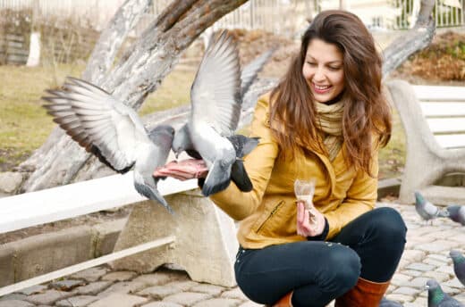 À épingler : Le grand retour des oiseaux au jardin et les aménagements à prévoir