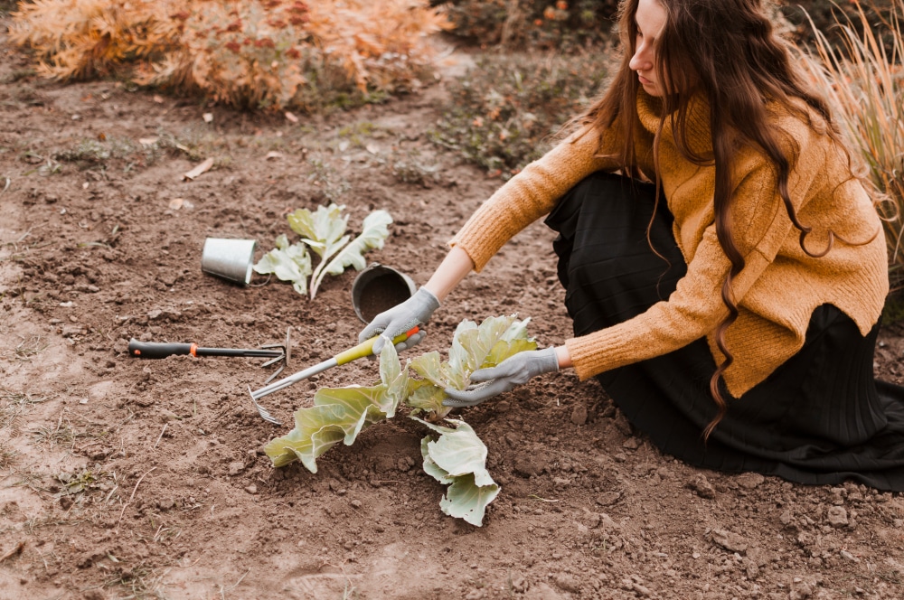 techniques naturelles pour nourrir le sol efficacement