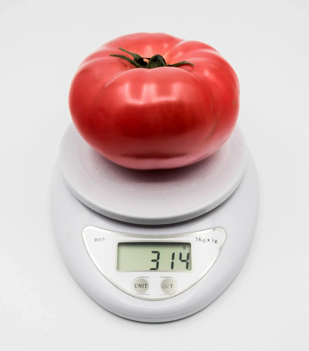 Balance de cuisine électronique avec une tomate sur le plateau