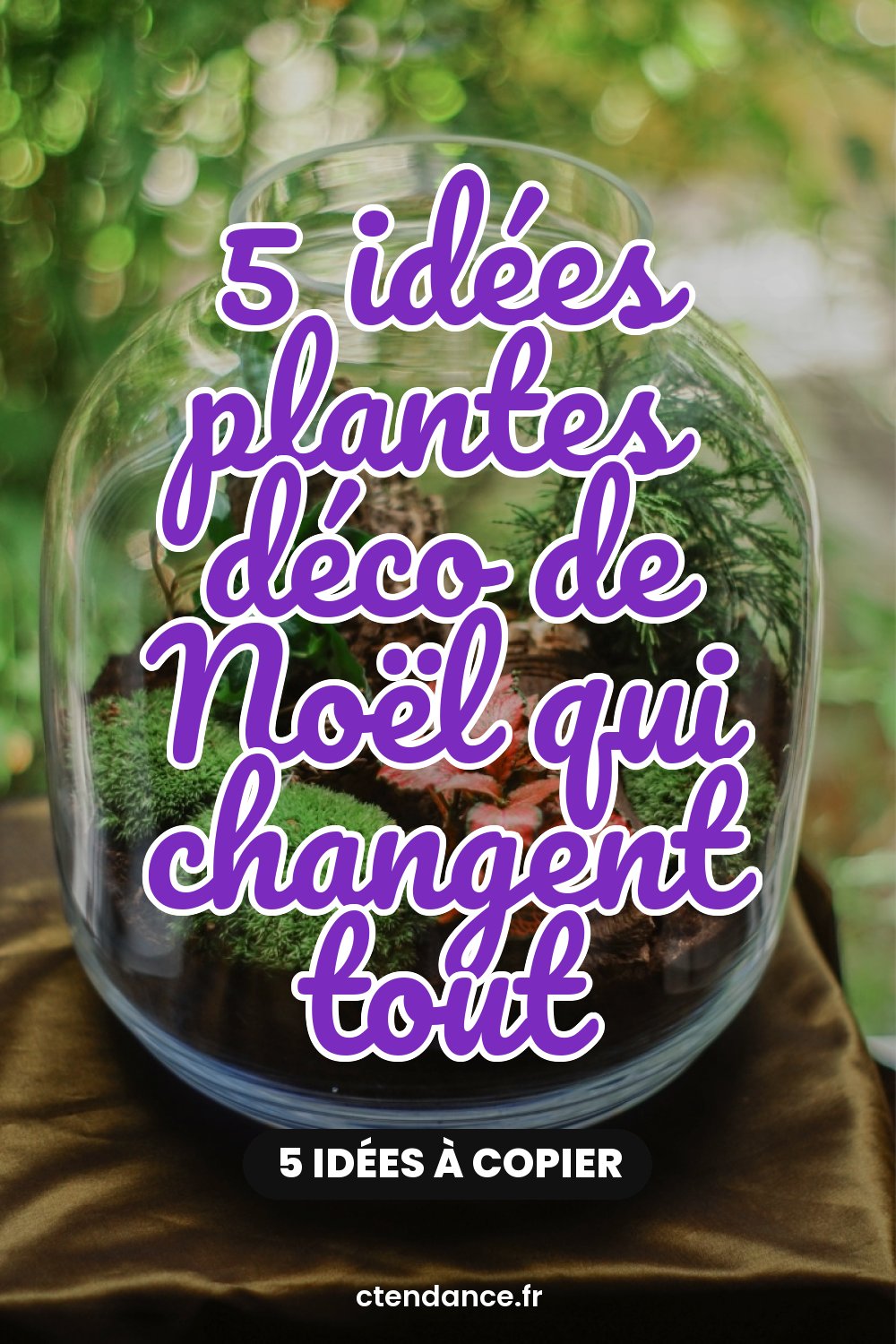 5 idées plantes déco de Noël qui changent tout